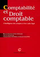 Comptabilité et droit comptable, L'intelligence des comptes et leur cadre légal