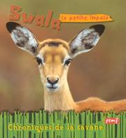 Swala la petite impala
