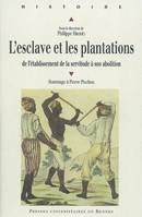 L'Esclave et les plantations, De l'établissement de la servitude à son abolition