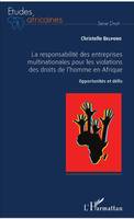 La responsabilité des entreprises multinationales pour les violations des droits de l'homme en Afrique, Opportunités et défis