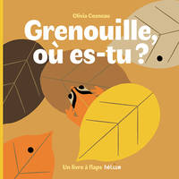 Un livre à flaps, GRENOUILLE, OU ES-TU ?