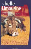 LA BELLE LIMOUSINE LA VACHE EN LIMOUSIN UN  PATRIMOINE HISTORIQUE ET GENETIQUE, la vache en Limousin, un patrimoine historique et génétique