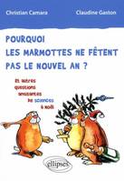 Pourquoi les marmottes ne fêtent pas le nouvel an ? Et autres questions amusantes de sciences à Noël, et autres questions amusantes de sciences à Noël