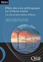 Effets des sons anthropiques sur la faune marine, Cas des projets éoliens offshore