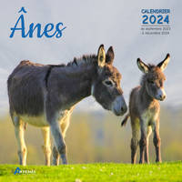 Calendrier Ânes 2024