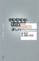 SUJET DE JAMES JOYCE (AU), une introduction pour le lecteur ordinaire