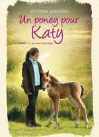 Un poney pour Katy - Tome 1, Le poulain sauvage