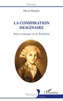 La conspiration imaginaire, Brèves remarques sur la révolution