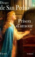 Prison d'amour, roman