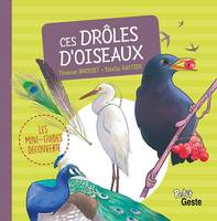 Les mini-guides découverte, Ces drôles d'oiseaux