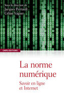 Normes numériques