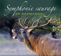 Symphonie sauvage en Normandie