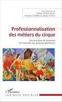 Professionnalisation des métiers du cirque, Des processus de formation et d'insertion aux épreuves identitaires