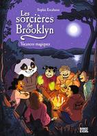 Les sorcières de Brooklyn, Tome 03, Vacances magiques