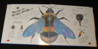 Mon livre animé des abeilles