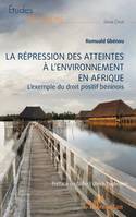 La répression des atteintes  à l’environnement en Afrique, L’exemple du droit positif béninois