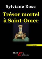 Trésor mortel à Saint-Omer, roman