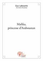 Malika, princesse d'Araboustan, roman