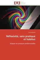 Réflexivité, sens pratique et habitus, Analyser les pratiques professionnelles