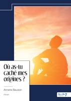 Où as-tu caché mes origines ?