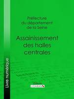 Assainissement des halles centrales, Résumé des travaux de la commission chargée d'examiner les questions qui se rattachent à cet assainissement