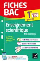 Fiches bac Enseignement scientifique 1re générale, nouveau programme de Première