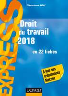 Droit du travail 2018 - 22e éd. - en 22 fiches - A jour des ordonnances Macron, en 22 fiches - A jour des ordonnances Macron