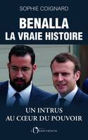 Benalla, La Vraie Histoire, Un intrus au coeur du pouvoir