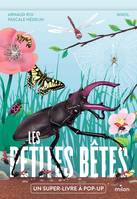 Les petites bêtes