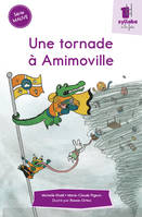 Une tornade à Amimoville