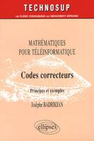 Codes correcteurs - Mathématiques pour téléinformatique - Niveau C, principes et exemples