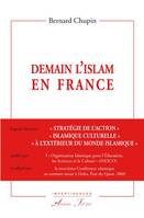 Demain l'islam en France, Exposé du texte