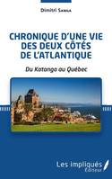 Chronique d'une vie des deux côtés de l'Atlantique, Du katanga au québec