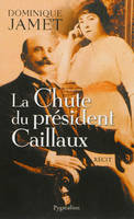 La Chute du Président Caillaux, récit