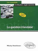 La question irlandaise - Nouvelle édition actualisée