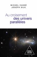 Au croisement des univers parallèles, cosmologie et métacosmologie