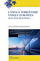 L'espace ferroviaire unique européen, Quelle(s) réalité(s) ?