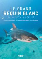 Le grand requin blanc, Du mythe à la réalité