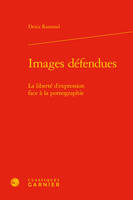 Images défendues, La liberté d'expression face à la pornographie