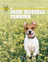 Le jack russell terrier