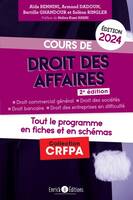 Cours de droit des affaires 2024, Tout le programme en fiches et en schémas