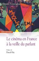 Le Cinéma en France à la veille du parlant, un essai d'histoire culturelle