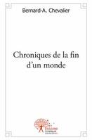 Chroniques de la fin d'un monde, roman