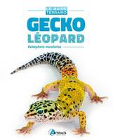 Gecko léopard, Eublepharis macularius