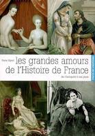 Les grandes amours de l'histoire de France / de l'Antiquité à nos jours