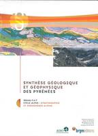 SYNTHESE GEOLOGIQUE ET GEOPHYSIQUE DES PYRENEES