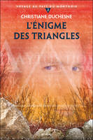 L'Énigme des triangles, Voyage au pays du Montnoir 2