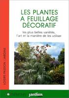 Les plantes à feuillage décoratif, les plus belles variétés et la manière de les utiliser