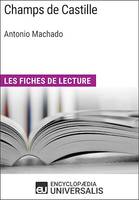 Champs de Castille d'Antonio Machado, Les Fiches de lecture d'Universalis