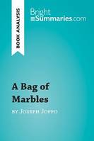 A Bag of Marbles by Joseph Joffo (Book Analysis), Detailed Summary, Analysis and Reading Guide